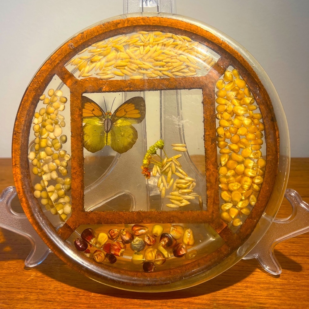 Vintage Round Lucite Acrylic Resin Trivet Hot Plate W/ Seeds, Butterfly & Flower